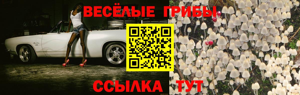 Алапаевск  Псилоцибиновые грибы мухоморы  купить   Вход с VPN 