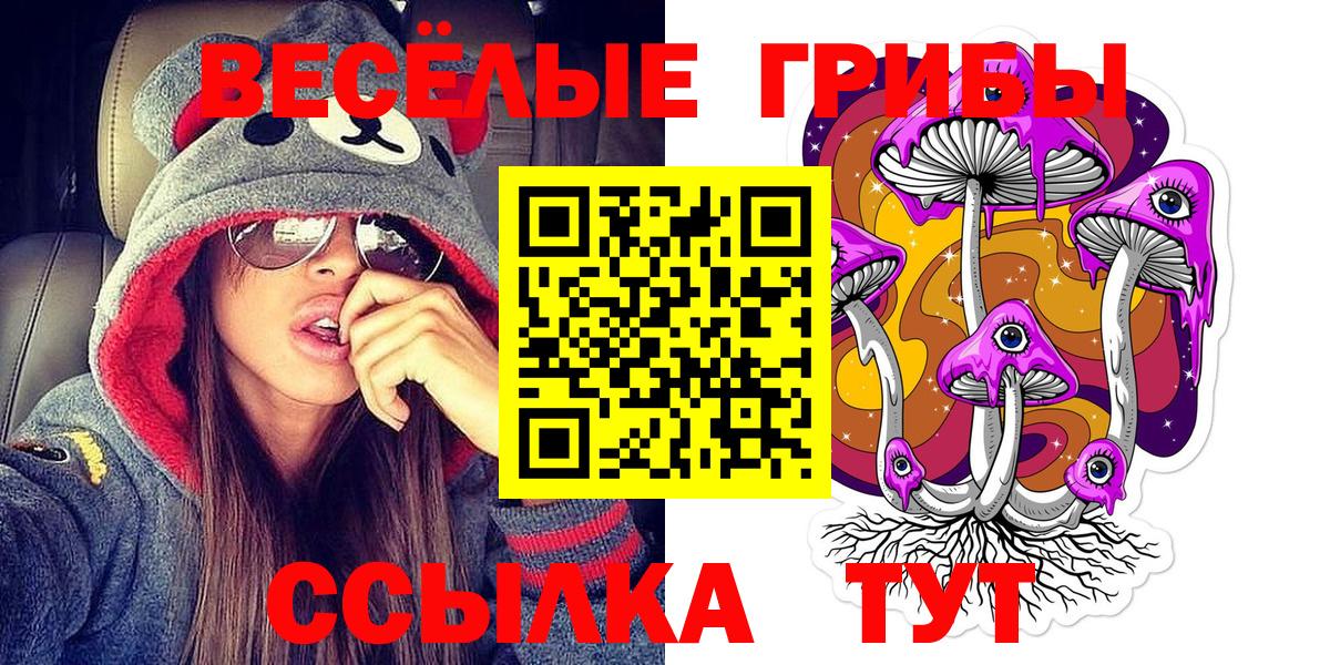 Псилоцибиновые грибы Psilocybe Алапаевск